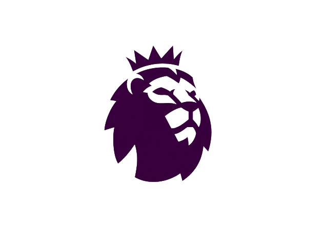 新的阵容将